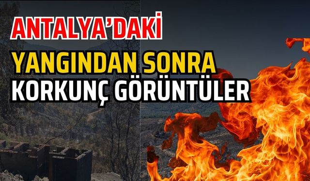Antalya’daki yangından sonra korkunç görüntüler