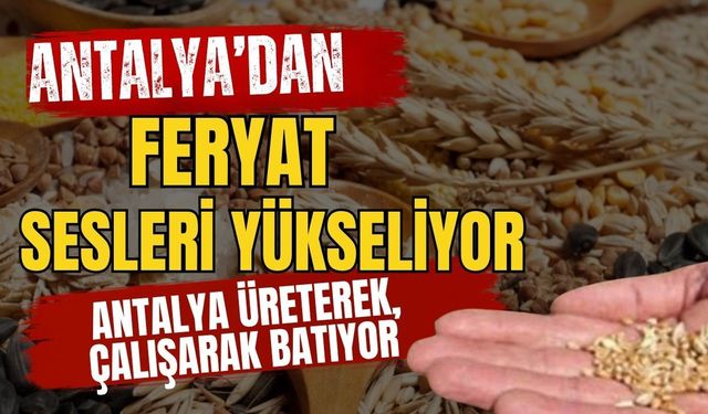 Antalya’dan feryat sesleri yükseliyor! Antalya üreterek, çalışarak batıyor