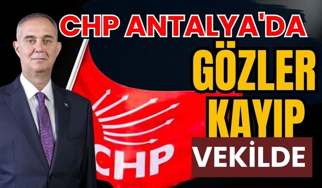 CHP Antalya'da gözler kayıp tek vekilde