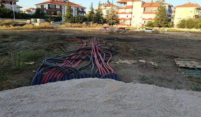 Korkuteli Belediyesi ağaçları katletti