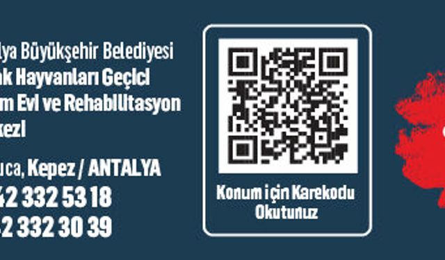 ANTALYA BÜYÜKŞEHİR BELEDİYESİ SOKAK HAYVANLARI BAKIM MERKEZİ İLANI