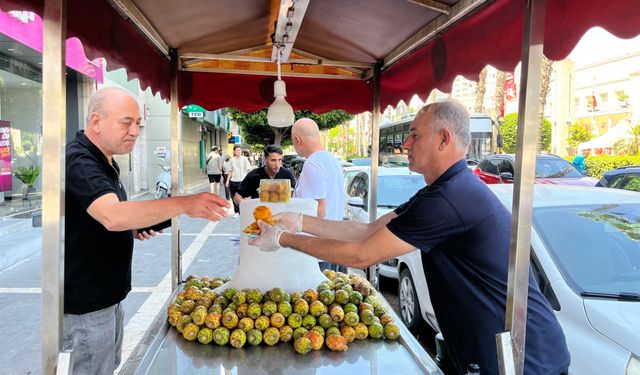 Adana’da sıcaklar bunalttı vatandaşlar dikenli incirlerle serinledi