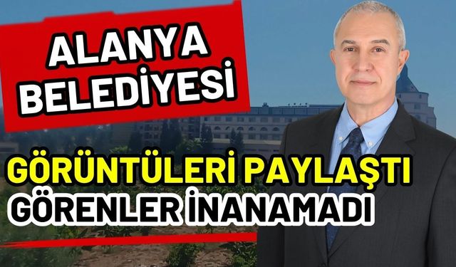 Alanya Belediyesi görüntüleri paylaştı görenler inanamadı
