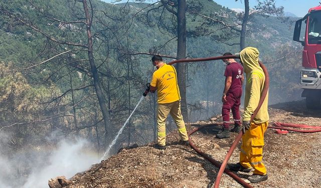 Alanya'daki orman yangını 3 saatte kontrol altına alındı