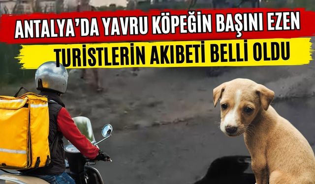 Antalya’da yavru köpeğin başını ezen turistlerin akıbeti belli oldu