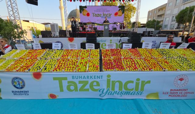 Aydın’da Taze İncir Festivali başladı