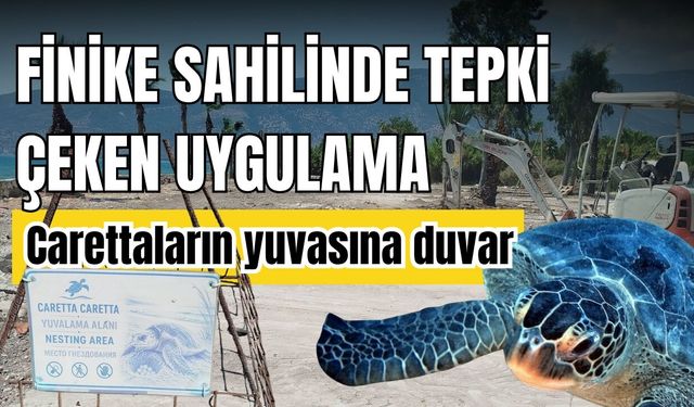 Finike Sahili’nde tepki çeken uygulama! Carettaların yuvasına duvar örüldü
