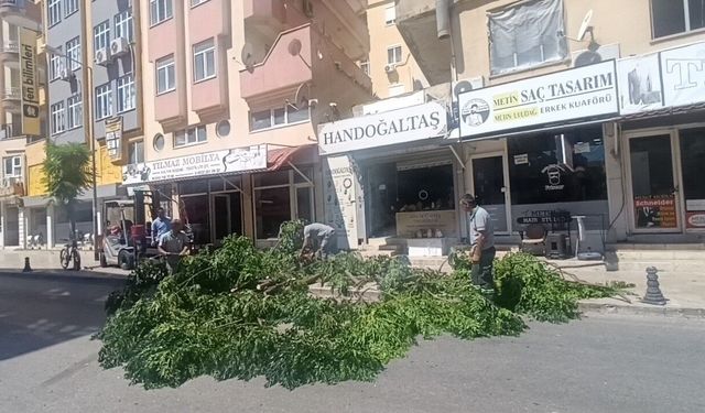 Manavgat’ta fırtınanın devirdiği ağaç yolu trafiğe kapattı