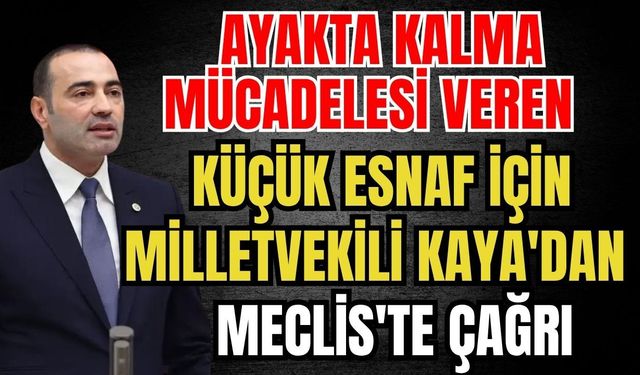 Ayakta kalma mücadelesi veren küçük esnaf için Milletvekili Kaya'dan Meclis'te çağrı