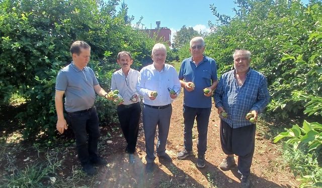 Adana’da yaklaşık 35 bin dönüm tarım alanı zarar gördü