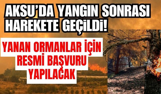 Aksu’da yangın sonrası harekete geçildi! Yanan ormanlar için resmi başvuru yapılacak