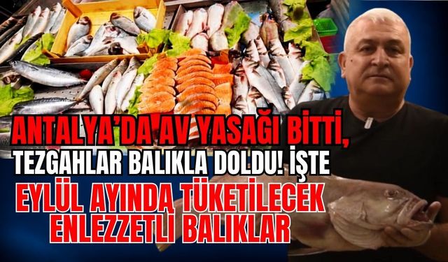Antalya’da av yasağı bitti, tezgahlar balıkla doldu! İşte Eylül ayında tüketilecek en lezzetli balıklar