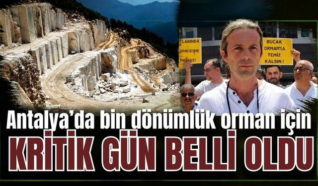 Antalya’da bin dönümlük orman için kritik gün belli oldu