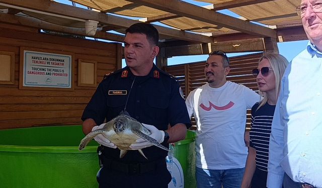Antalya’da iki yeşil deniz kaplumbağasının rotası uyduyla izlenecek