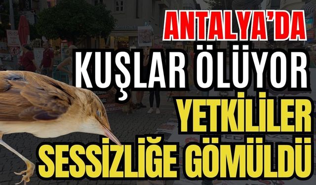 Antalya’da kuşlar ölüyor yetkililer sessizliğe gömüldü