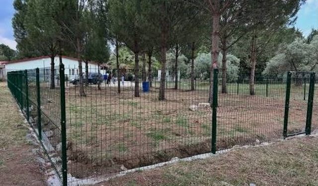 HAYVAN ÜRETME YERİ ÇEVRESİNE ÇİT ÇEKİLECEK