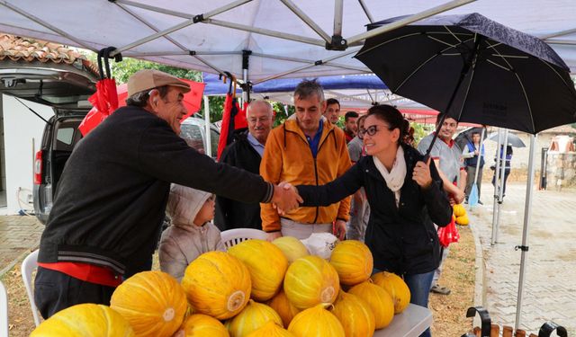 Muğla’nın en güzel kavunları seçildi