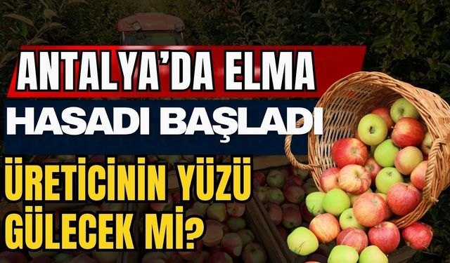 Antalya’da elma hasadı başladı! Üreticinin yüzü gülecek mi?