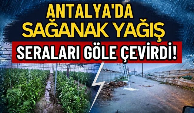 Antalya'da sağanak yağış seraları göle çevirdi!