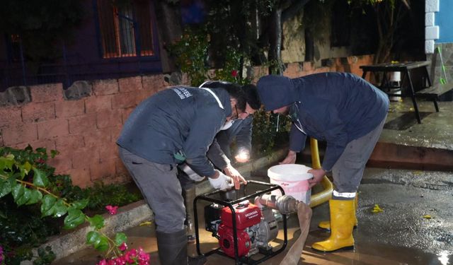 Antalya’dan 3 günde 70 ihbar geldi! Ekipler yardıma koştu