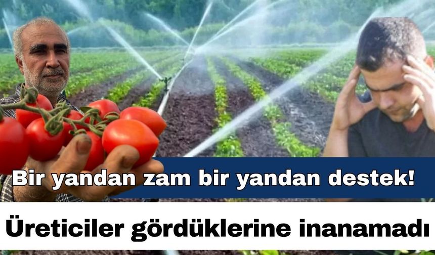 Bir yandan zam bir yandan destek! Üreticiler gördüklerine inanamadı