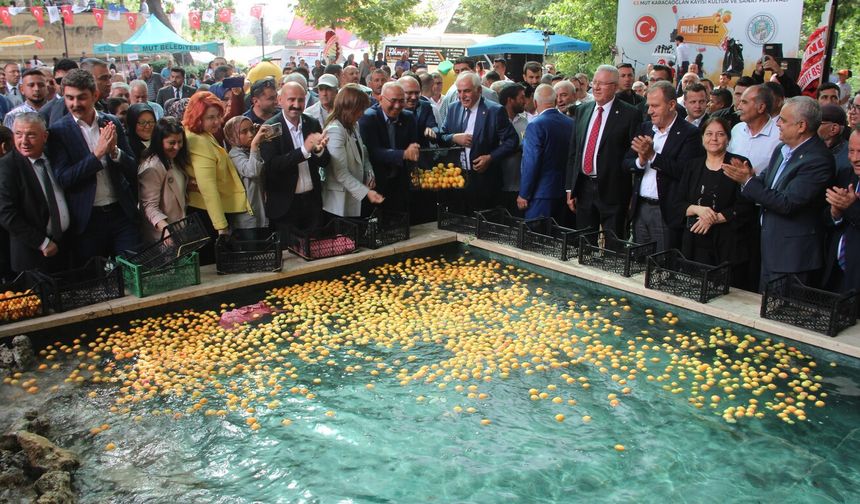 Mersin’de geleneksel Karacaoğlan Kayısı Kültür ve Sanat Festivalinde büyük coşku