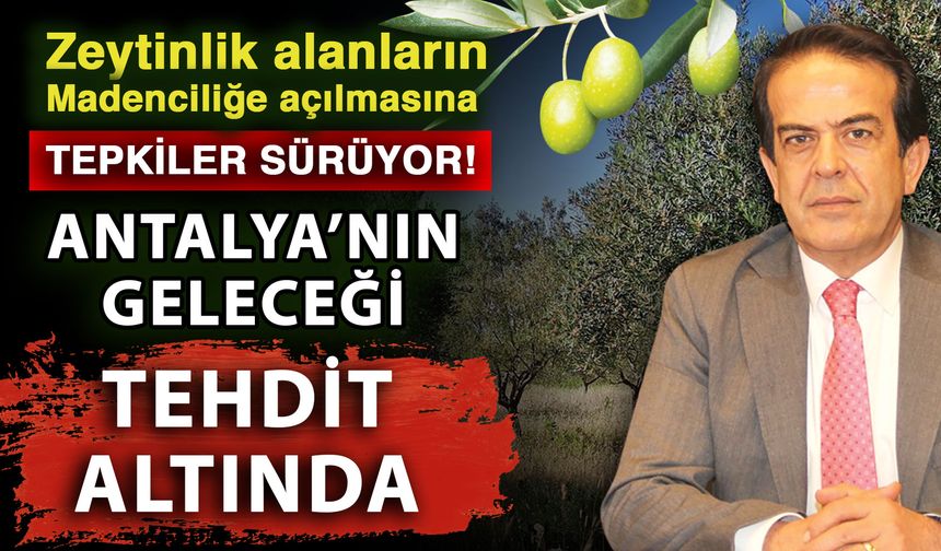 Zeytinlik alanların madenciliğe açılmasına tepkiler sürüyor! Antalya’nın geleceği tehdit altında