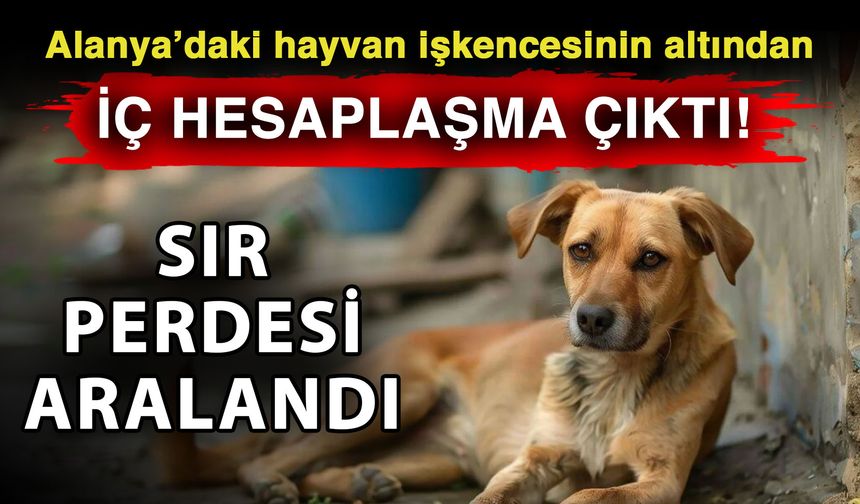 Alanya’daki hayvan işkencesinin altından iç hesaplaşma çıktı! Sır perdesi aralandı