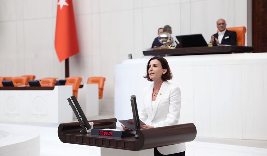 CHP Antalya Milletvekili Aliye Coşar’dan ‘kişiye özel zeytinlik talan yasası’ çıkışı