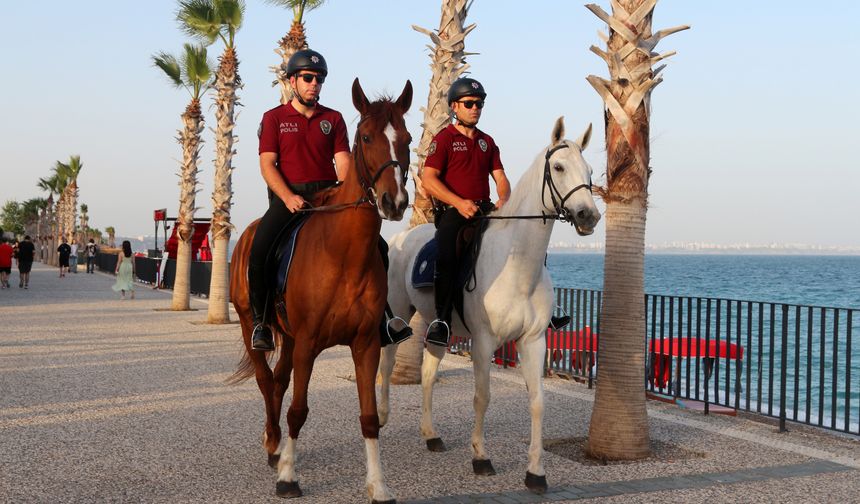 Antalya’nın dünyaca ünlü sahillerini atlar koruyacak! TOMA’lardan daha etkililer