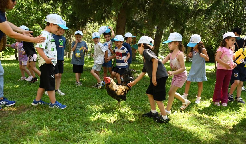 Minik eller Denizli Horozu üretimini öğrendi