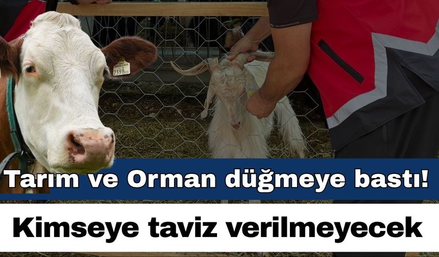 Tarım ve Orman İl Müdürlüğü düğmeye bastı! Kimseye taviz yok