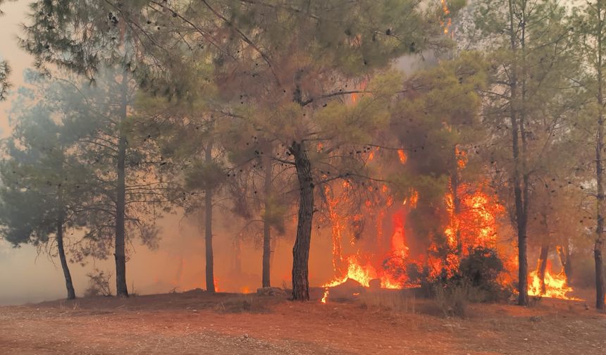 Antalya’nın o mahallesinde felaket kapıda... Mahalle muhtarı duyarsızlığa isyan etti