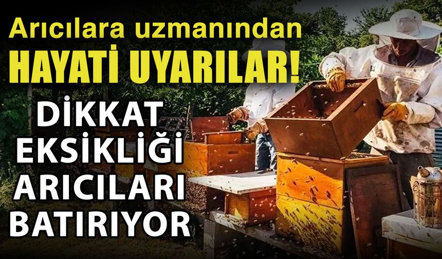 Arıcılara uzmanından hayati uyarılar! Dikkat eksikliği arıcıları batırıyor