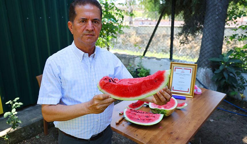 Sosyal medyadaki karpuz tartışmalarına Adana'dan cevap