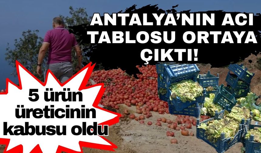 Antalya’nın acı tablosu ortaya çıktı! 5 ürün üreticinin kabusu oldu