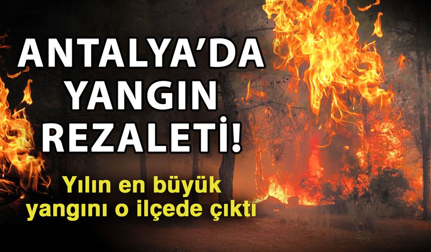 Antalya’da yangın rezaleti! Yılın en büyük yangını o ilçede çıktı
