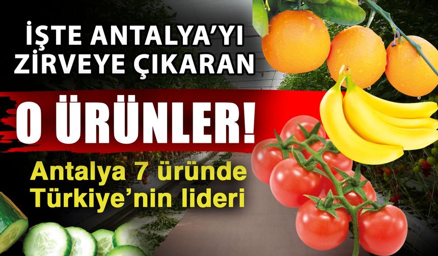 İşte Antalya’yı zirveye çıkaran o ürünler! Antalya 7 üründe Türkiye’nin lideri