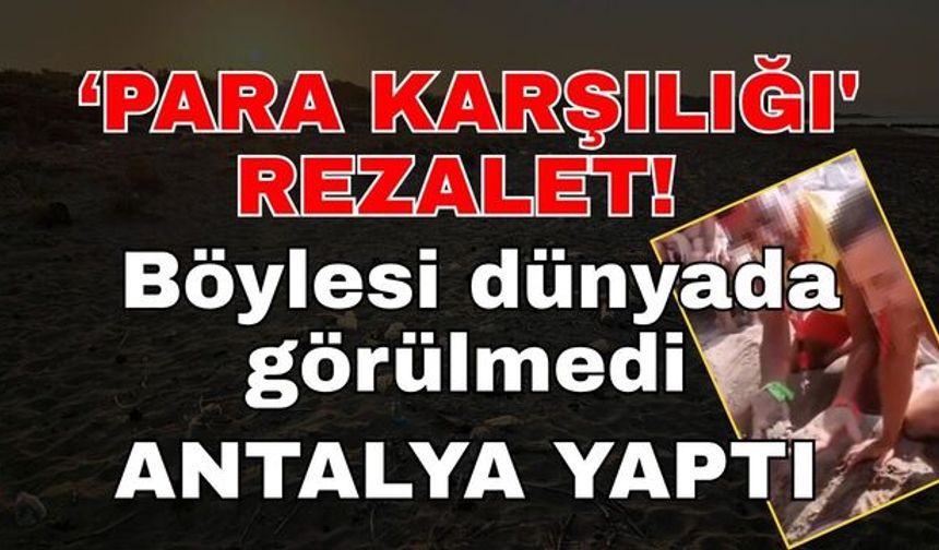 'Caretta yuvaları, para karşılığı turistlere açılıyor