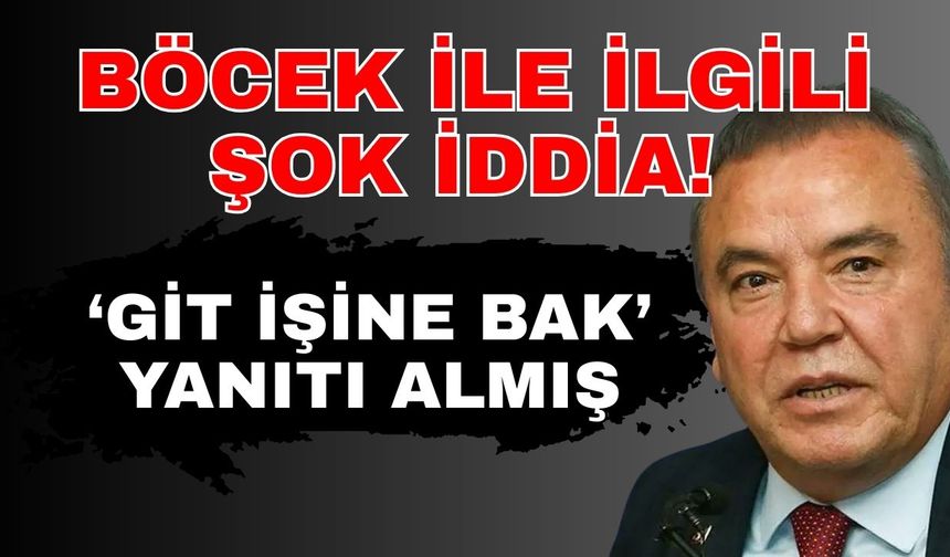 Böcek ile ilgili şok iddia! ‘Git işine bak’ yanıtı almış