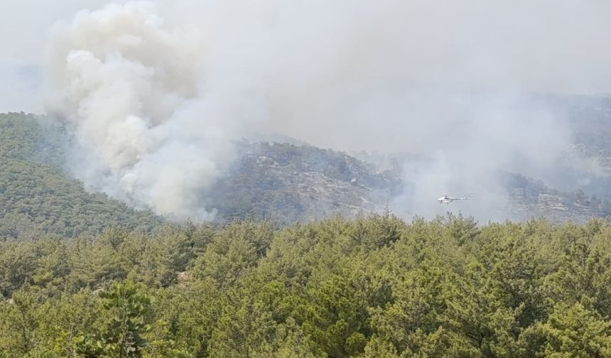 Mersin Valisi, orman yangınları hakkında açıklama yaptı: 984 hane boşaltıldı