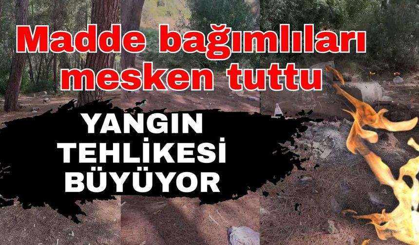 Madde bağımlıları mesken tuttu! Orman yangın tehlikesiyle karşı karşıya