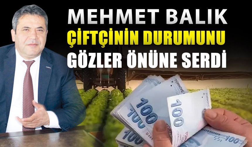 Mehmet Balık çiftçinin durumunu gözler önüne serdi