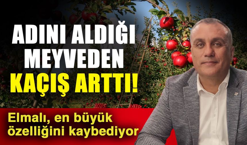 Adını aldığı meyveden kaçış arttı! Elmalı, en büyük özelliğini kaybediyor