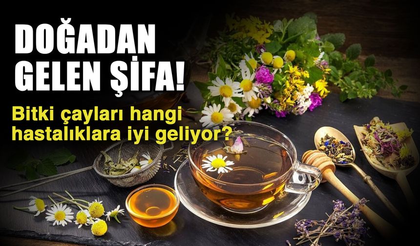 Doğadan gelen şifa! Bitki çayları hangi hastalıklara iyi geliyor?