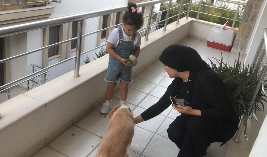 Minik Gökçe'den büyük örnek