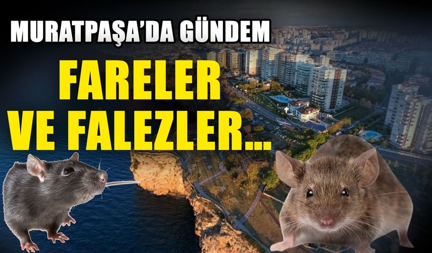 Muratpaşa’da gündem fareler ve falezler…
