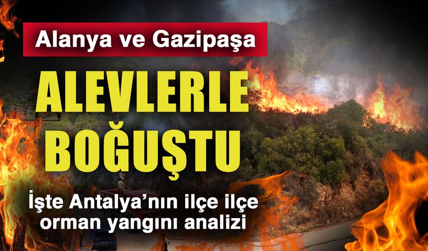 Alanya ve Gazipaşa alevlerle boğuştu… İşte Antalya’nın ilçe ilçe orman yangını analizi