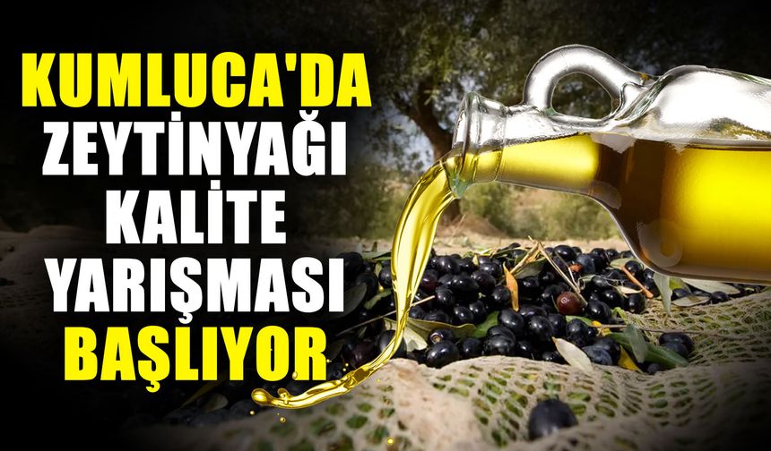 Kumluca'da zeytinyağı kalite yarışması başlıyor