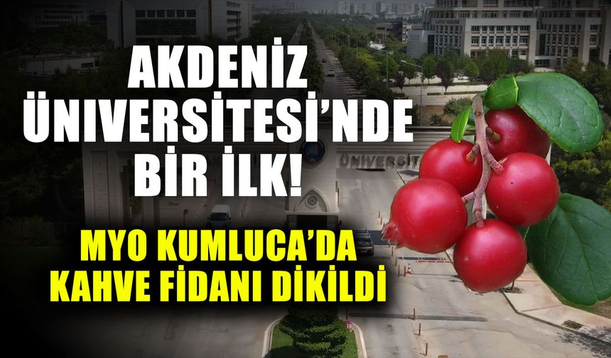 Akdeniz Üniversitesi’nde bir ilk! MYO Kumluca’da kahve fidanı dikildi